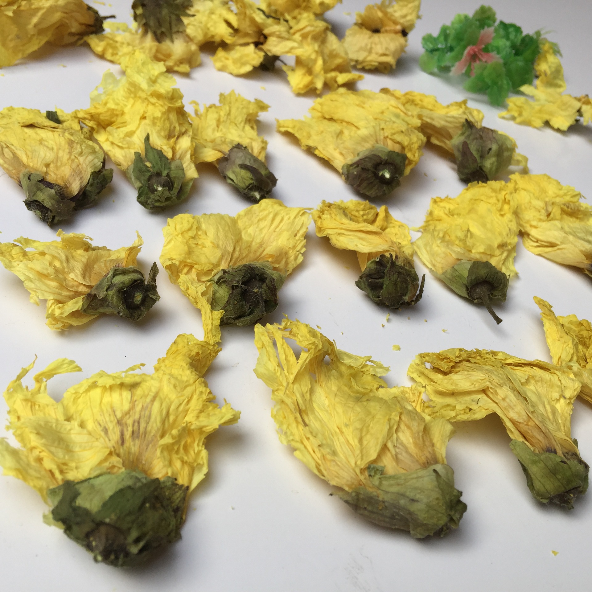 Dried Abelmoschus Flower Huang Shu Kui Hua 500g Raw Chinese Herb for Tea and Decoction - Image 5