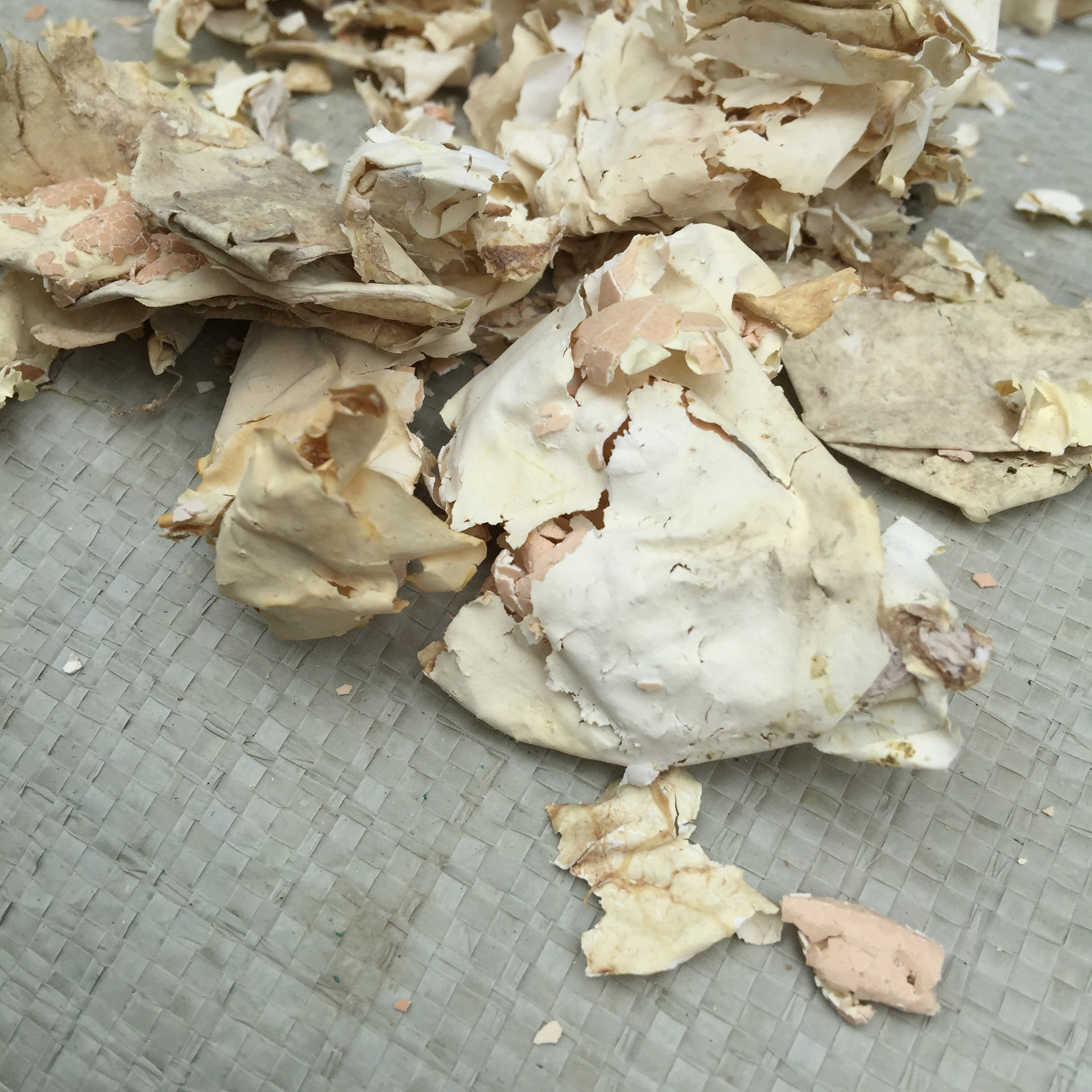 Feng Huang Yi Egg Membrane Dried Phoenix Membrane Traditional TCM Herb 500g - Image 2
