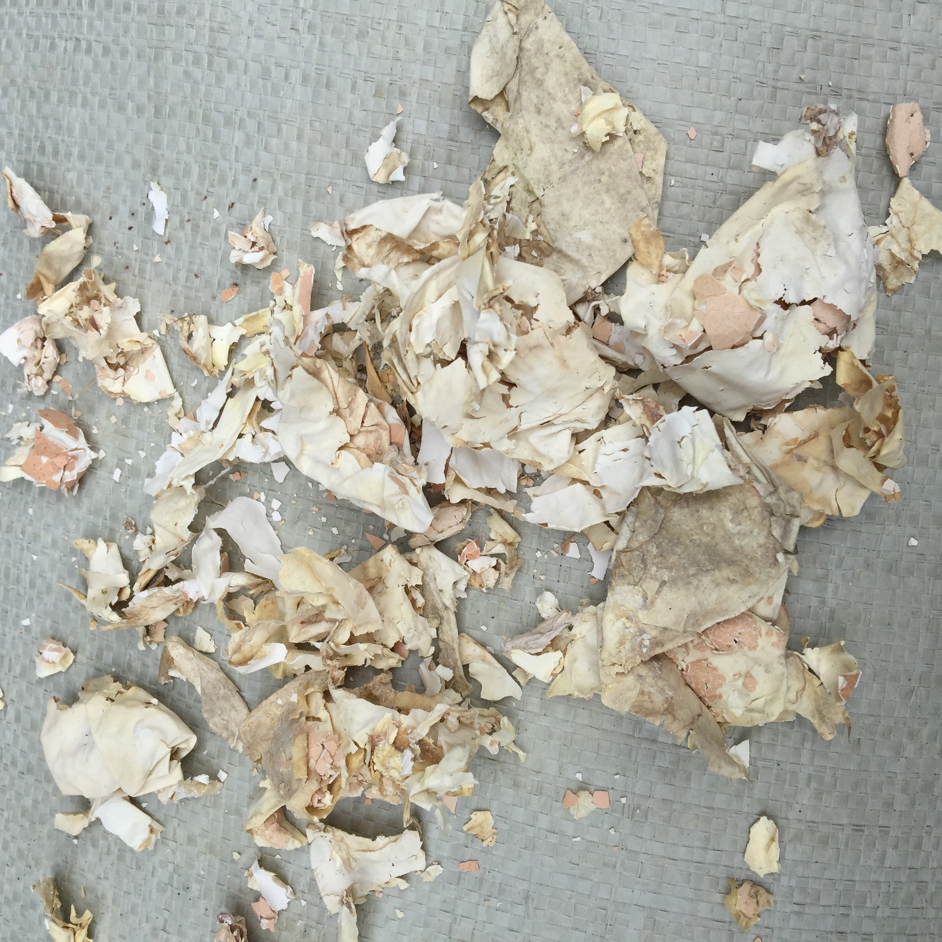 Feng Huang Yi Egg Membrane Dried Phoenix Membrane Traditional TCM Herb 500g - Image 5