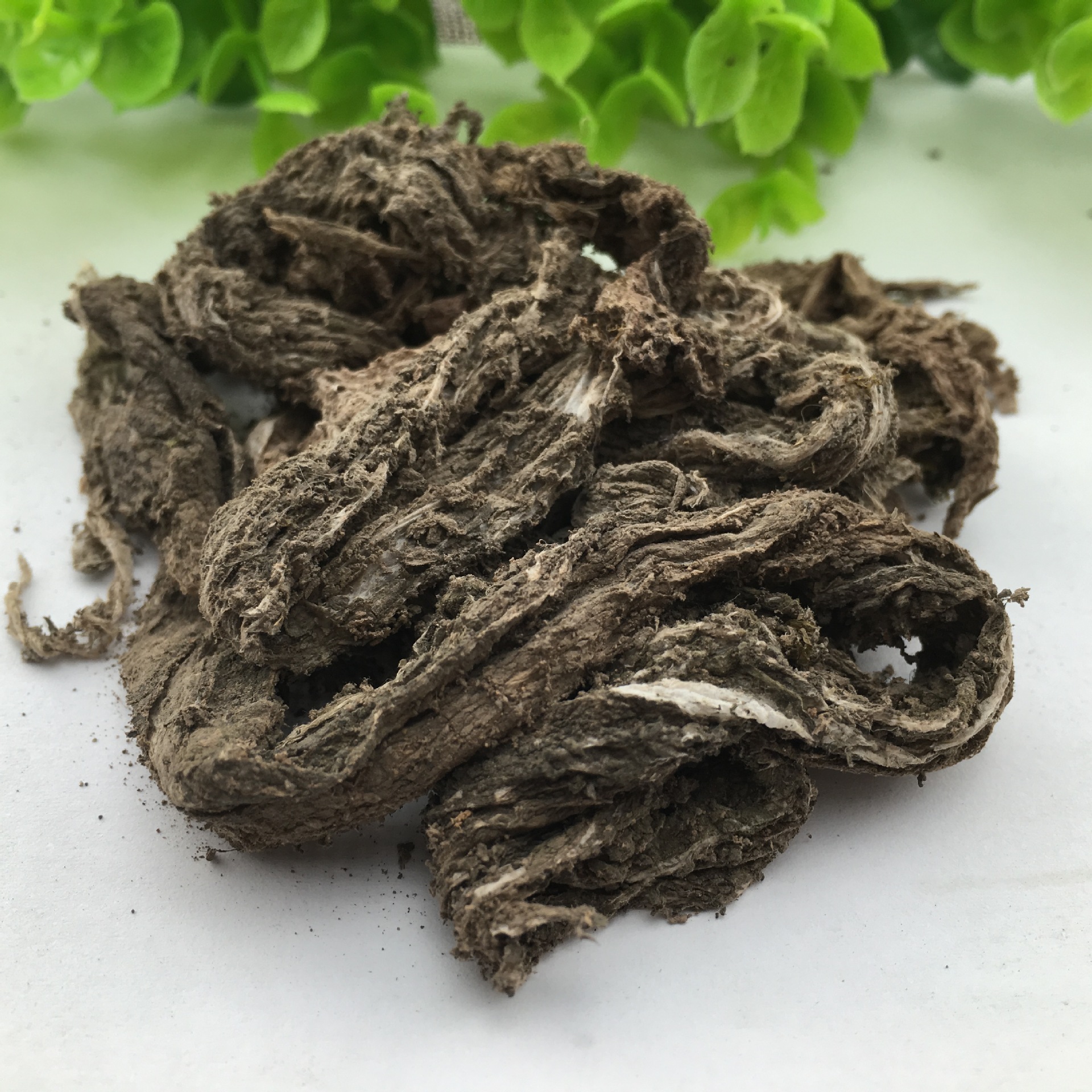 Hui Dou Ba Dried Herb Sichuan Origin Traditional Chinese Herbal Ingredient 1 Jin - Image 2