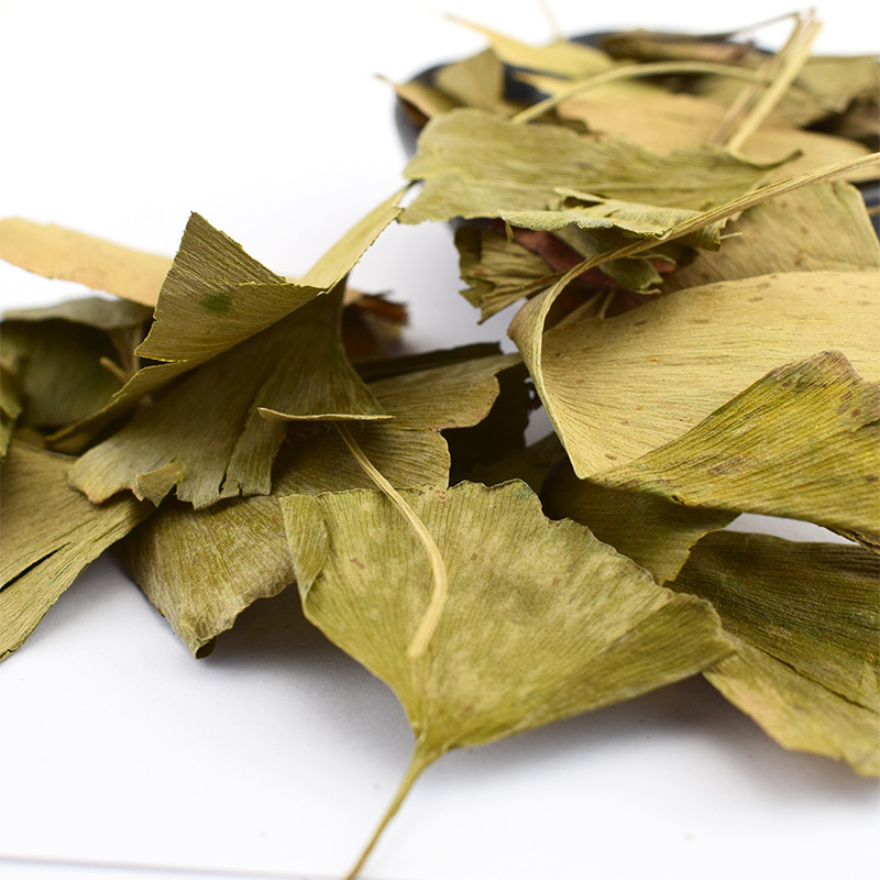 Dried Ginkgo Leaf Yin Xing Ye Loose Herbal Tea Leaves 500g Bulk - Image 3