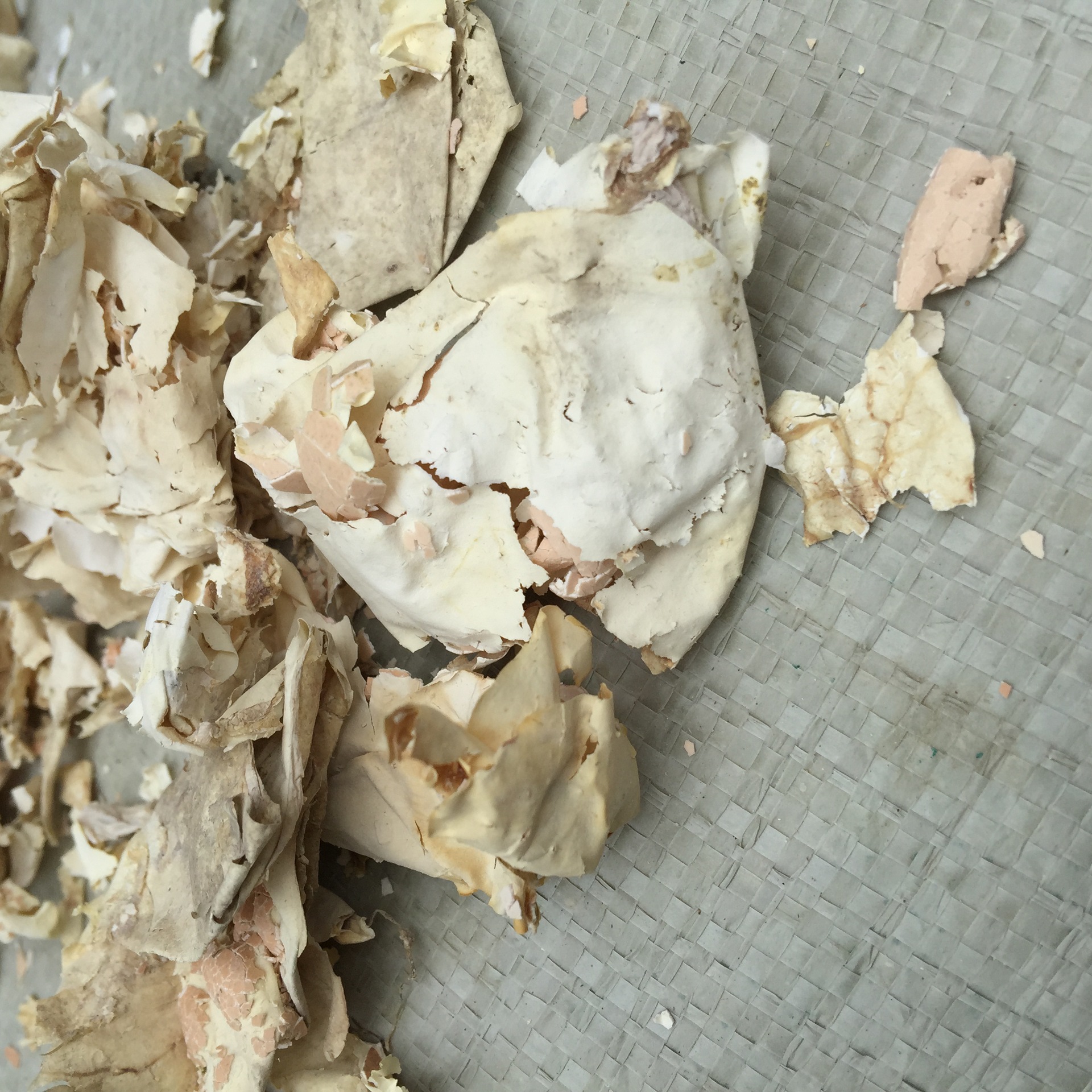 Feng Huang Yi Egg Membrane Dried Phoenix Membrane Traditional TCM Herb 500g - Image 4