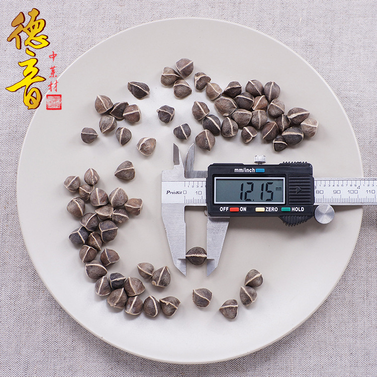 Moringa Seeds La Mu Zi Large Dark Whole Seeds Traditional Herbal Snack Sealed Bag - Image 2