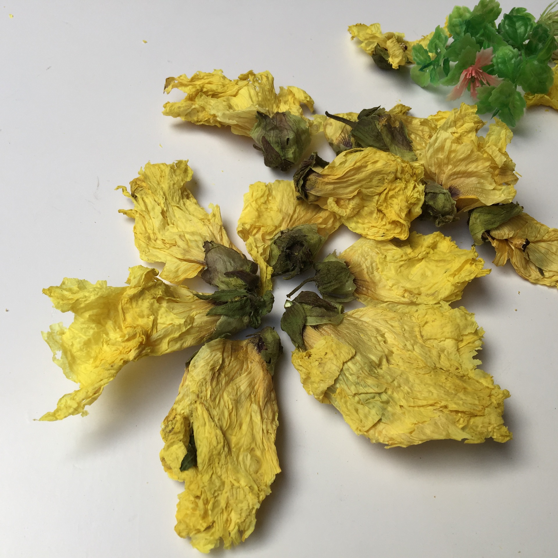 Dried Abelmoschus Flower Huang Shu Kui Hua 500g Raw Chinese Herb for Tea and Decoction - Image 3