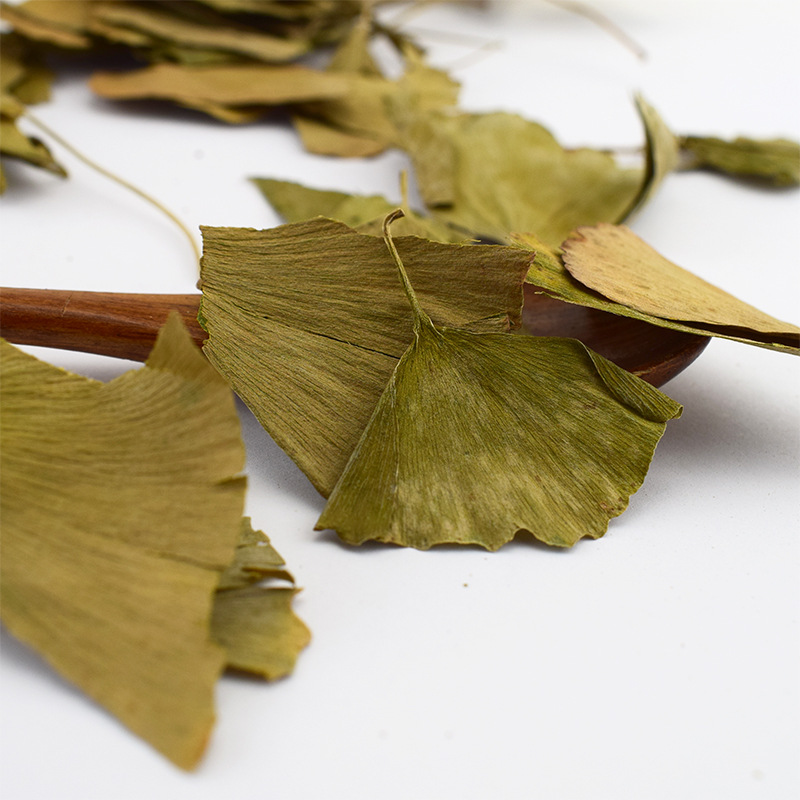 Dried Ginkgo Leaf Yin Xing Ye Loose Herbal Tea Leaves 500g Bulk - Image 5