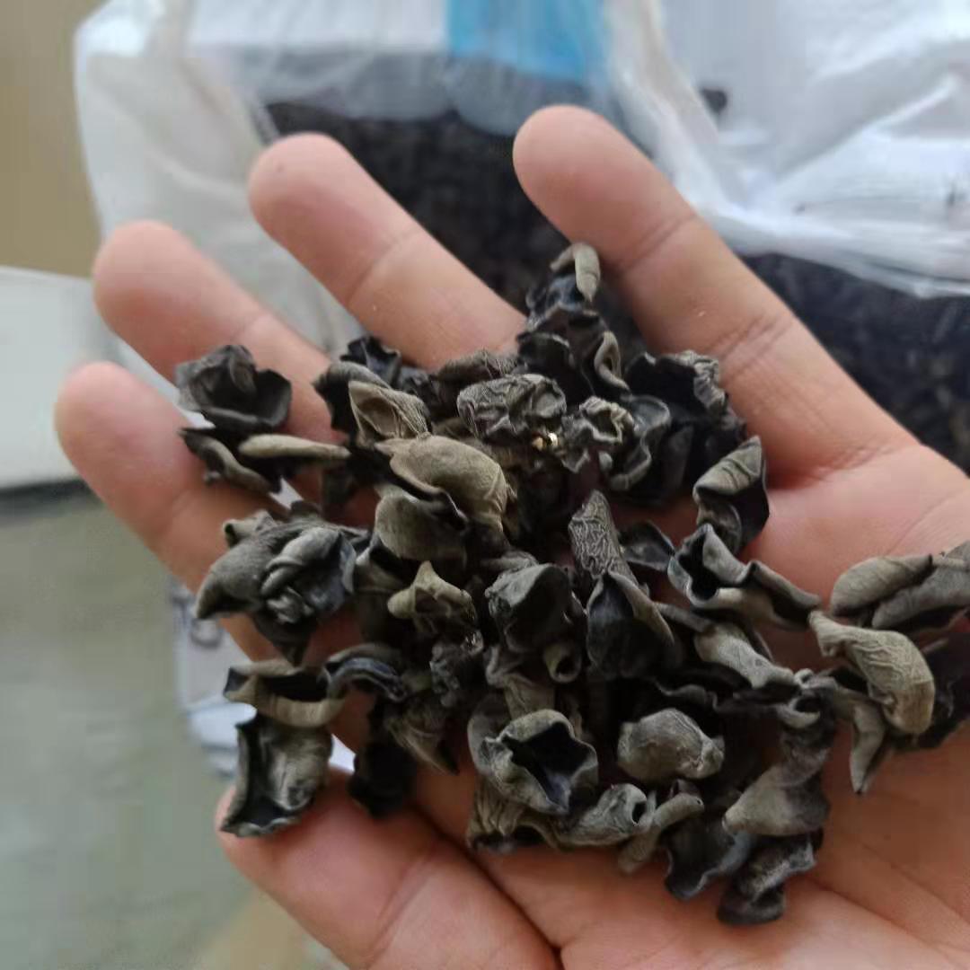 Dried Black Wood Ear Mushroom Small Bowl Grade Autumn Harvest 250g - Image 4