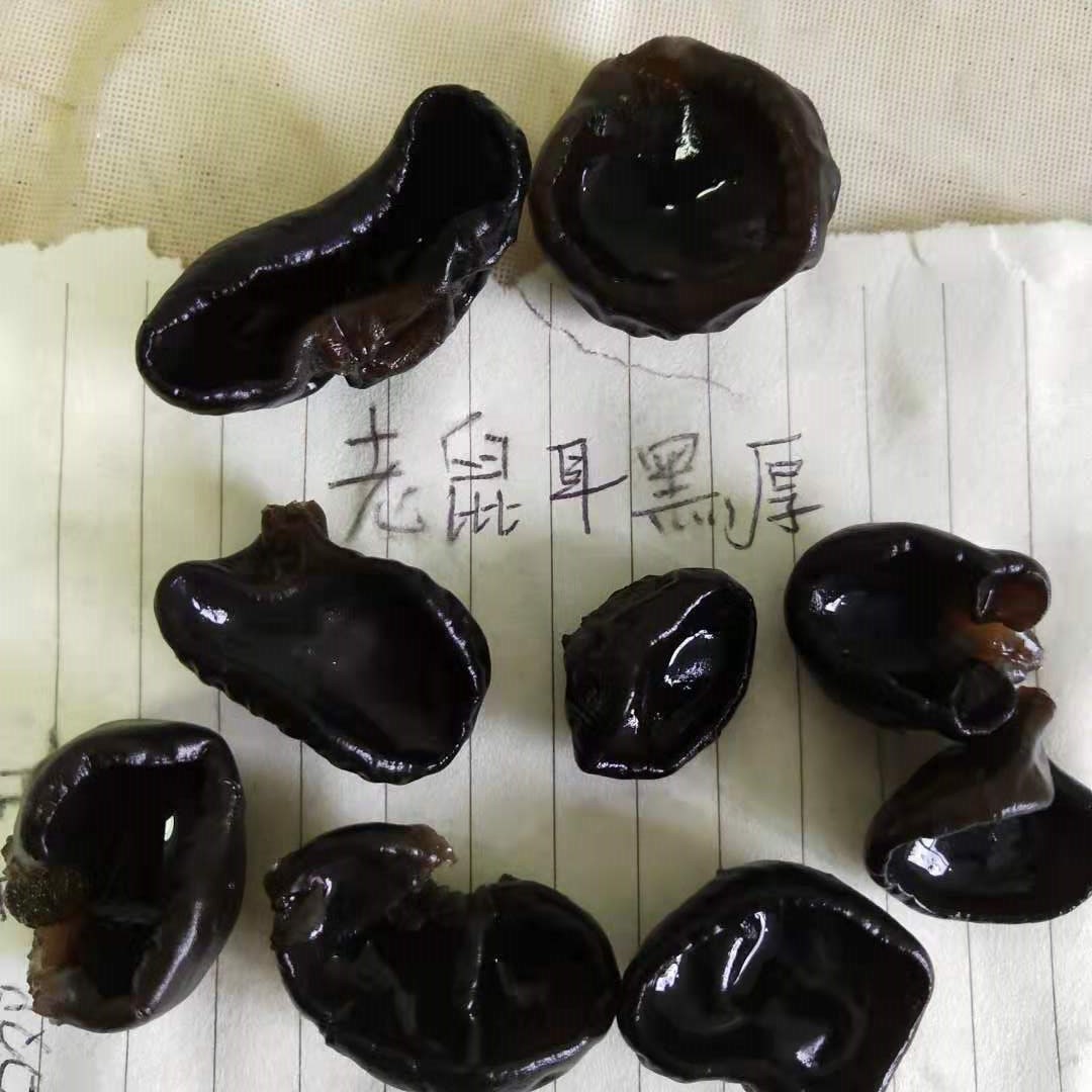 Dried Black Wood Ear Mushroom Small Bowl Grade Autumn Harvest 250g - Image 3