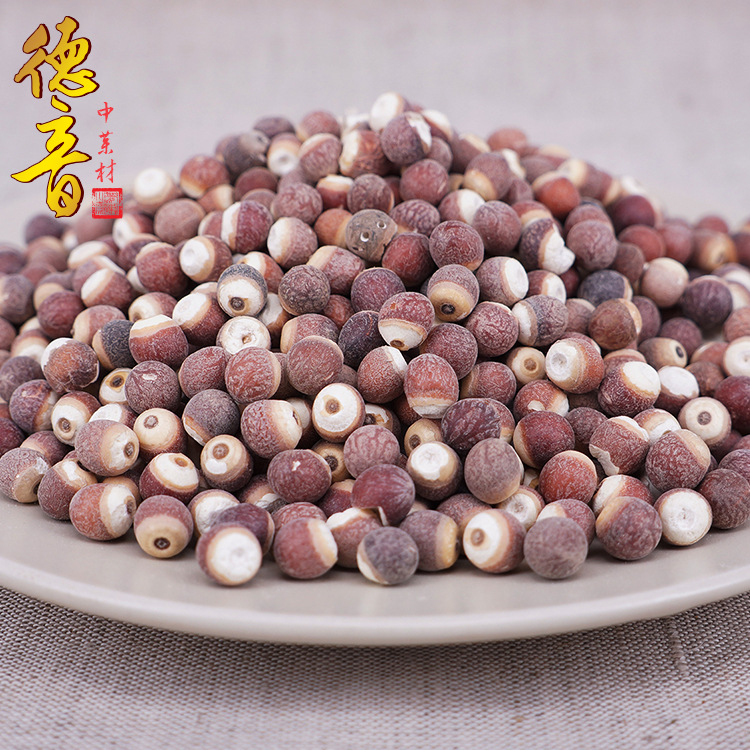 Dried Gorgon Fruit Qian Shi Whole Seeds 500g Euryale ferox for Soup Congee and Herbal Decoction - Image 2