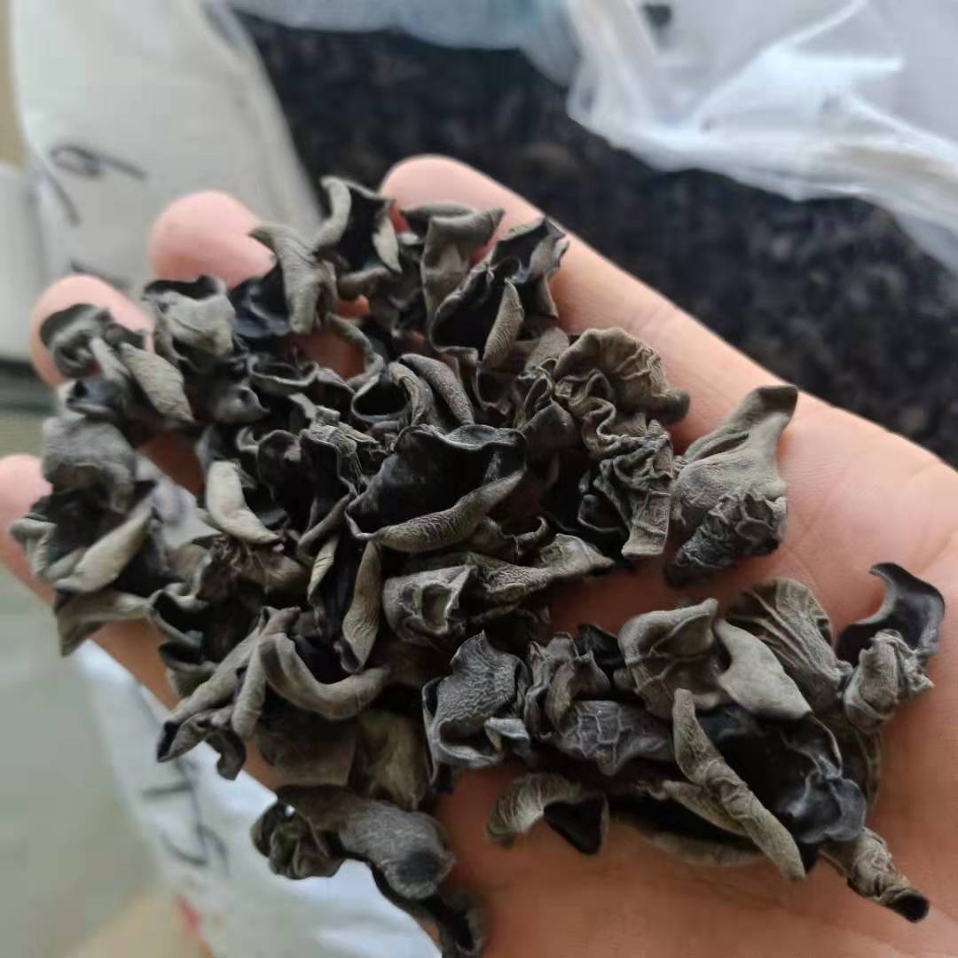 Dried Black Wood Ear Mushroom Small Bowl Grade Autumn Harvest 250g - Image 2