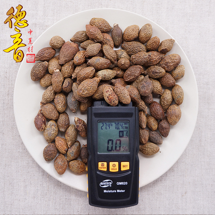 Pang Da Hai Long-Form Fat Sea Seed Loose Herbal Tea 500g for Soaking and Culinary Use - Image 3
