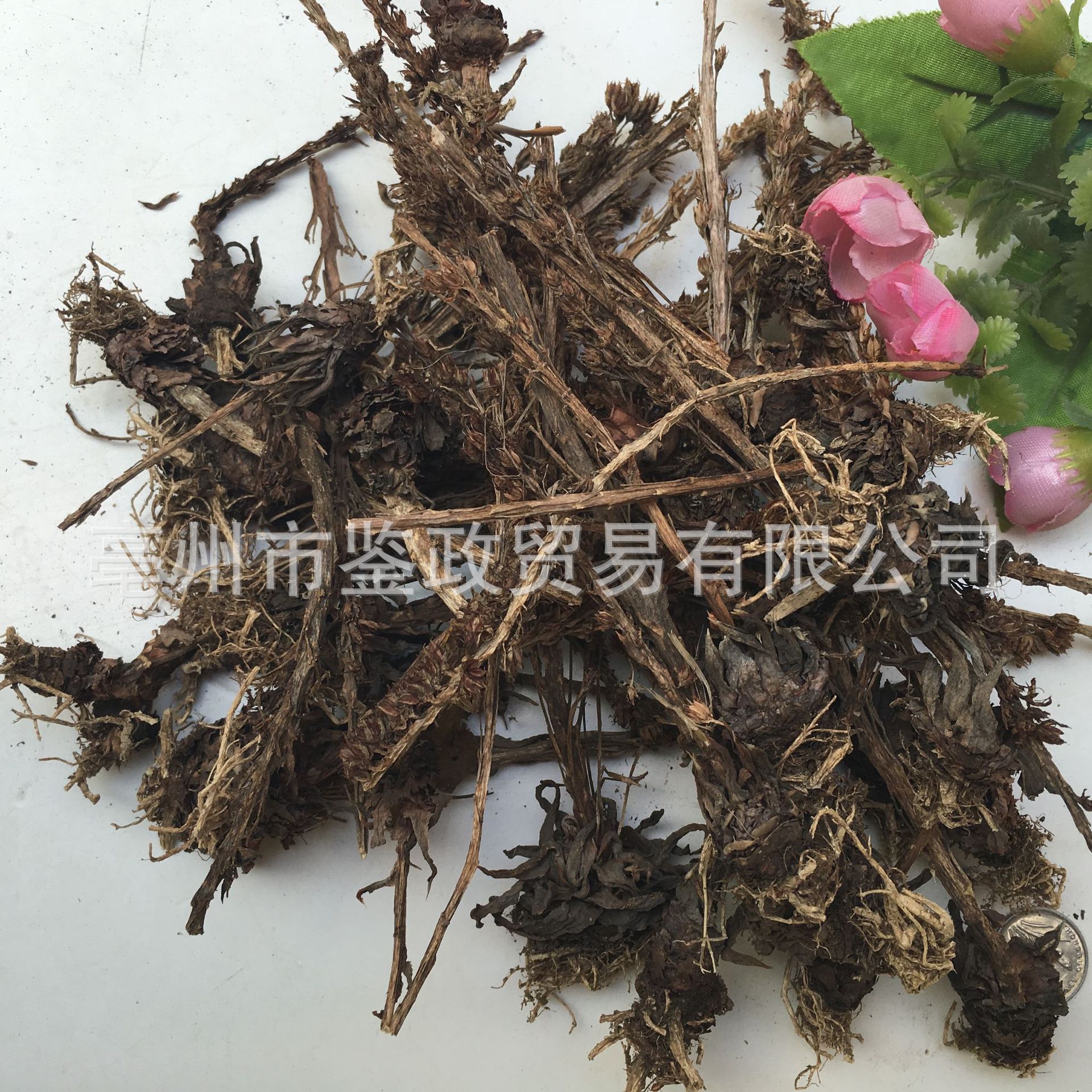 Dried Orostachys Herb Wasong 瓦松 Whole Plant 500g Bag Traditional Chinese Herbal Botanical - Image 4