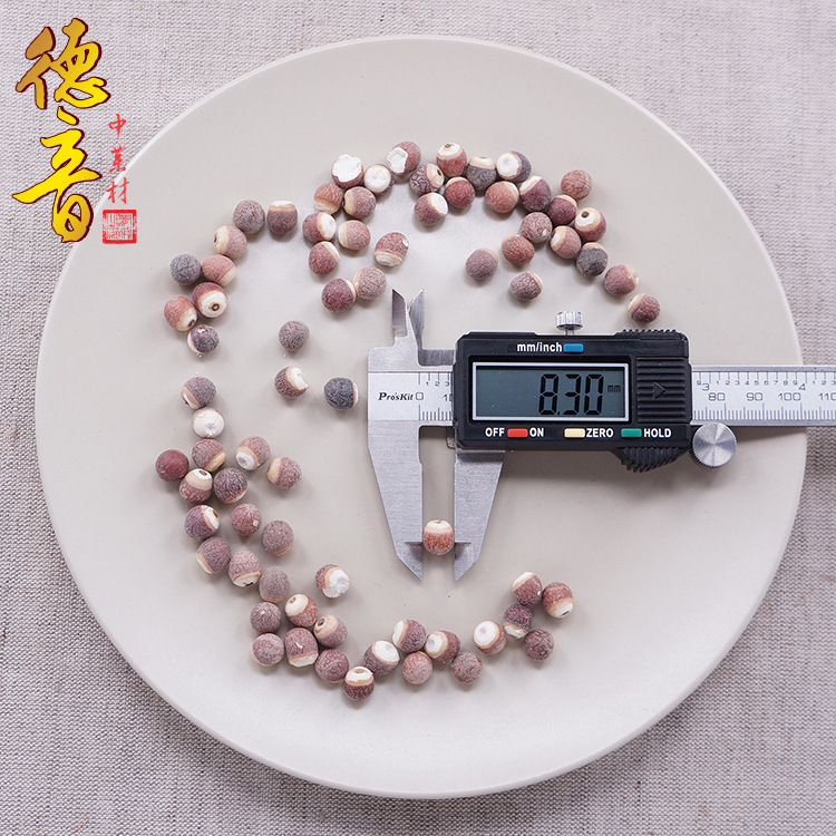 Dried Gorgon Fruit Qian Shi Whole Seeds 500g Euryale ferox for Soup Congee and Herbal Decoction - Image 4