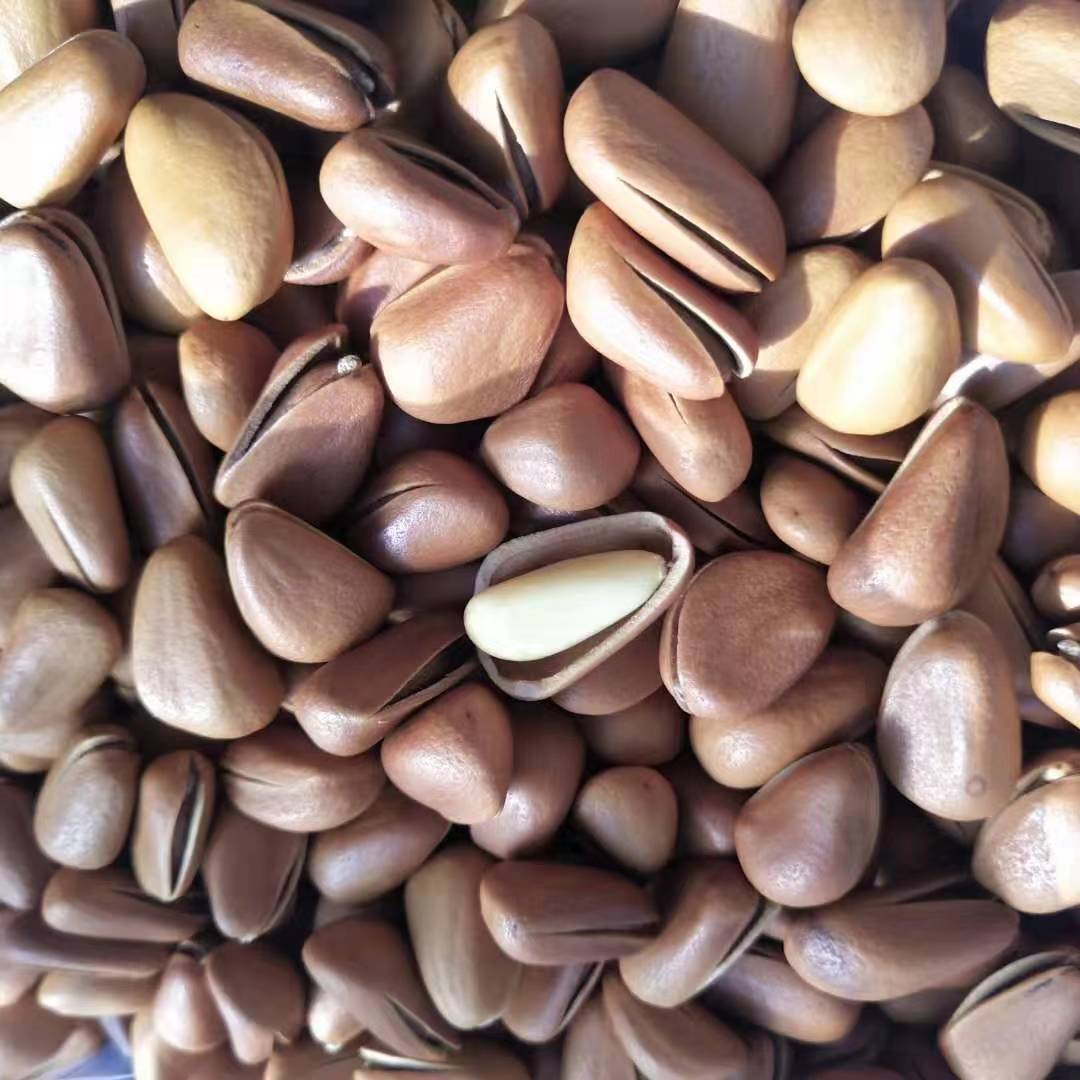 Dried Red Pine Nuts Bulk Original Flavor Hand Cracked Open Pine Nut Snack 850 Pieces Changbai Mountain - Image 4