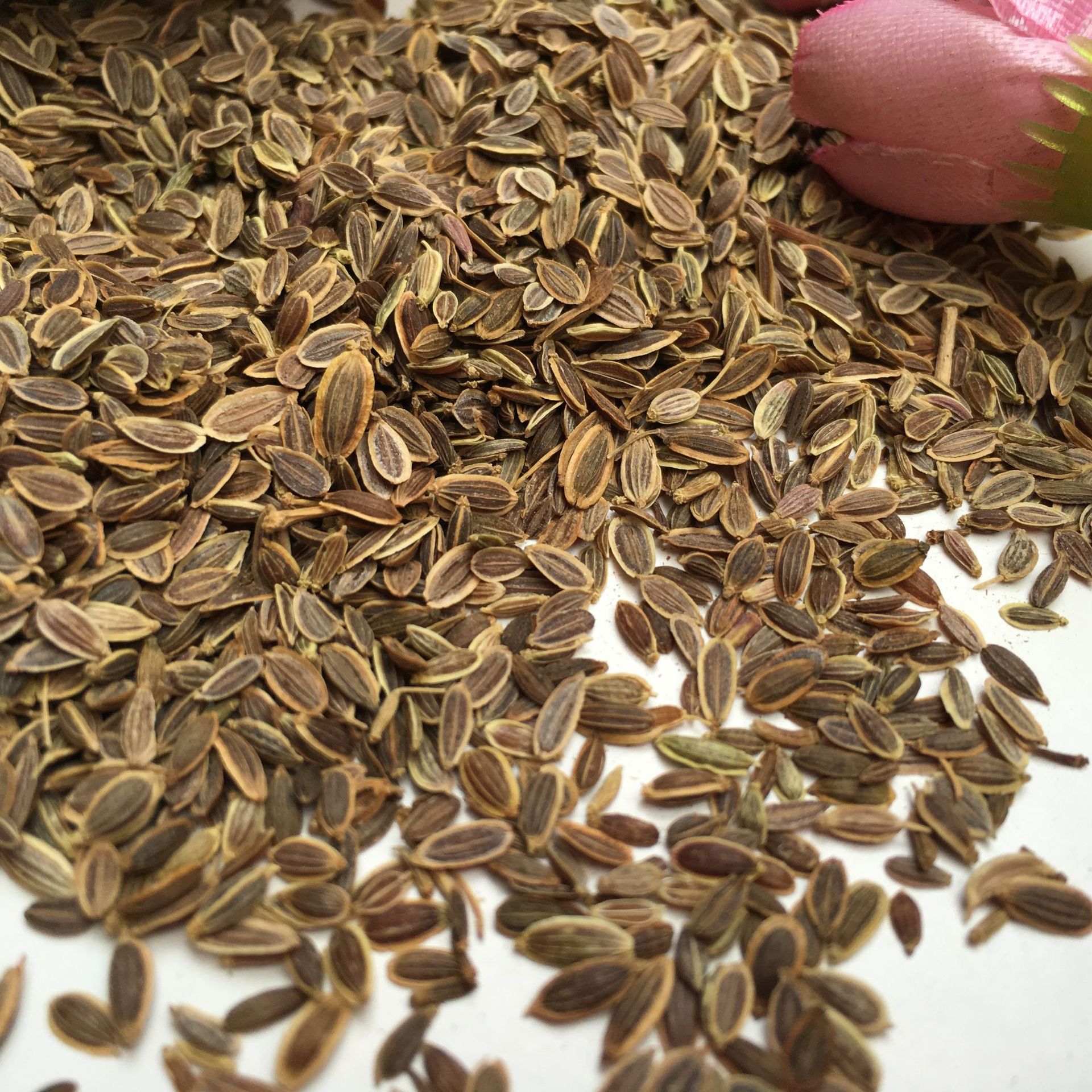 Dried Murraya Paniculata Seeds Qian Li Xiang Zi 500g Culinary Spice for Braising and Marinades - Image 2