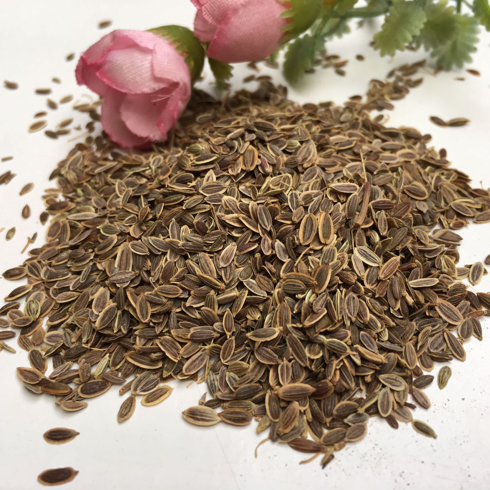 Dried Murraya Paniculata Seeds Qian Li Xiang Zi 500g Culinary Spice for Braising and Marinades - Image 4
