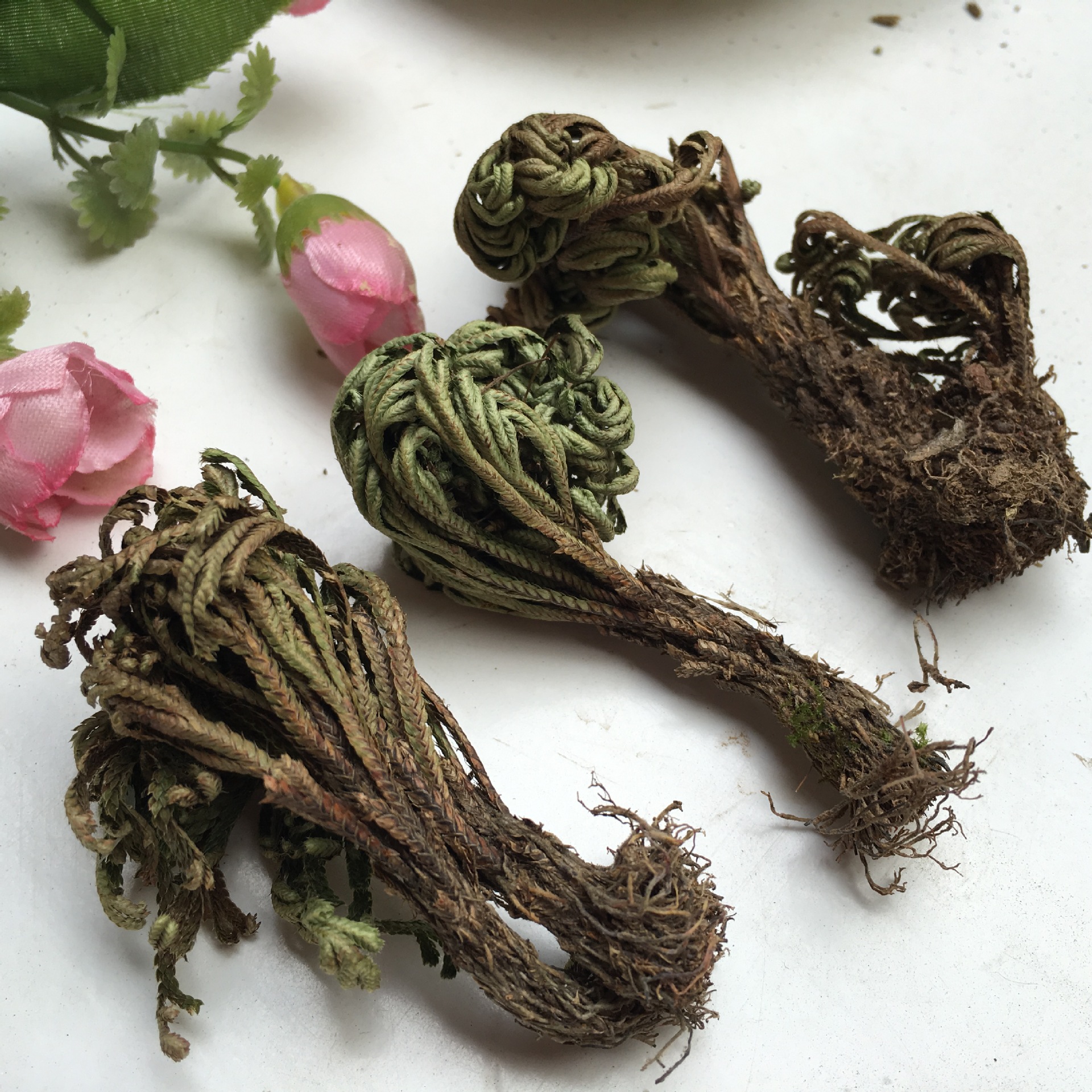 Dried Selaginella Juan Bai 500g Whole Herb Resurrection Grass Traditional TCM Botanical - Image 4