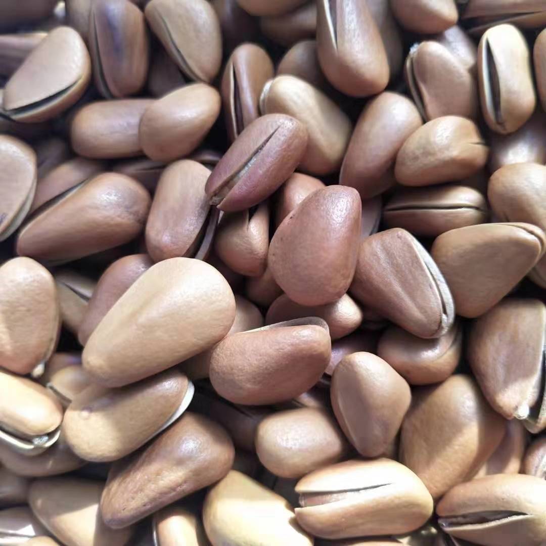 Dried Red Pine Nuts Bulk Original Flavor Hand Cracked Open Pine Nut Snack 850 Pieces Changbai Mountain - Image 3