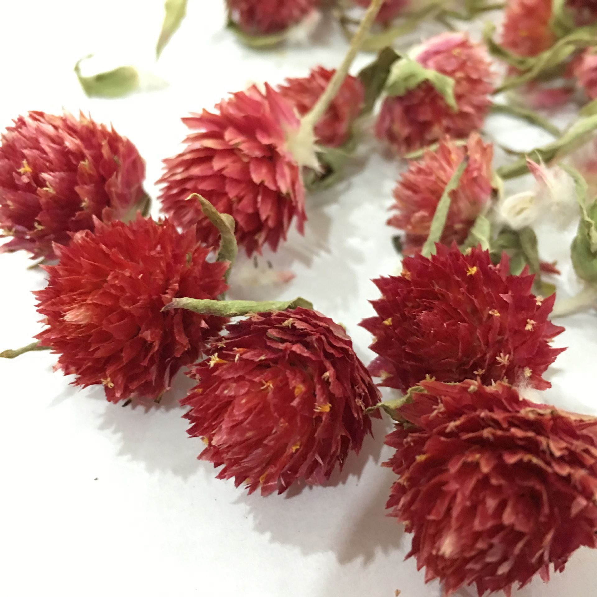 Dried Red Plum Blossom Flower Heads Hong Qiao Mei Loose Herbal Tea and Decorative Dried Flowers 500g - Image 4
