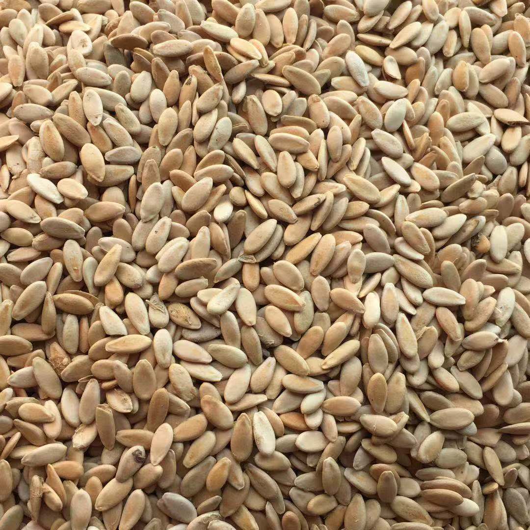 Low Temperature Roasted Muskmelon Seeds Xiang Gua Zi 500g Edible Seed Snack and Grinding Ingredient - Image 2