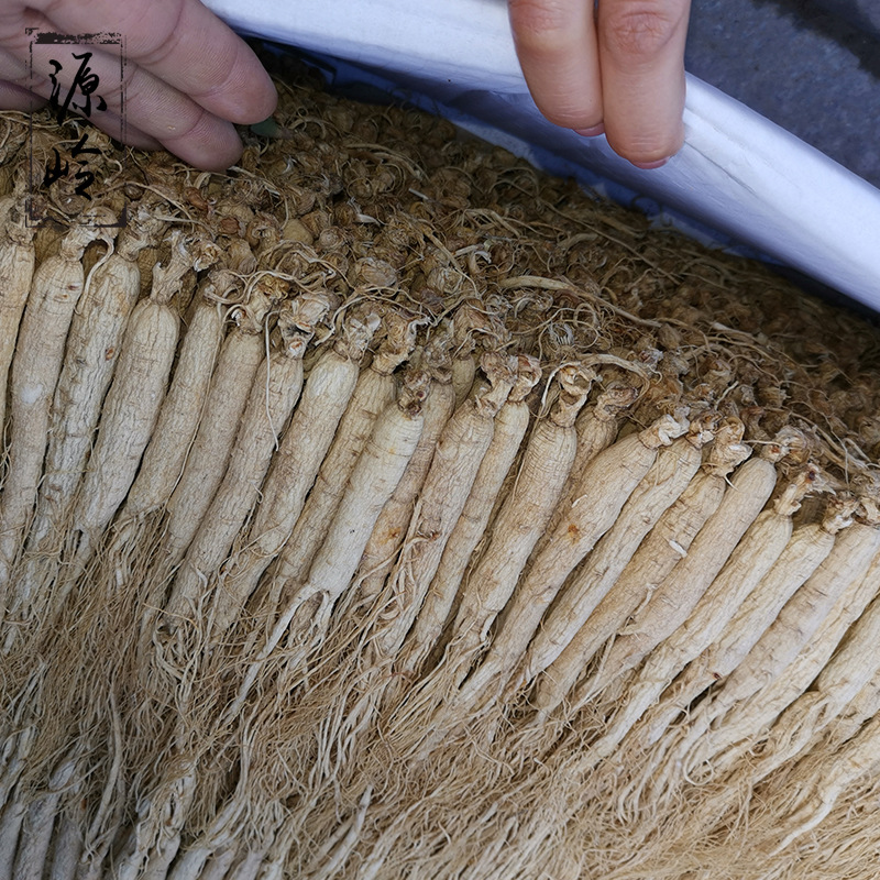 Changbai Mountain Sun-Dried Whole Ginseng Root Ji'an Bian Tiao Ren Shen for Cooking and Decoction - Image 2