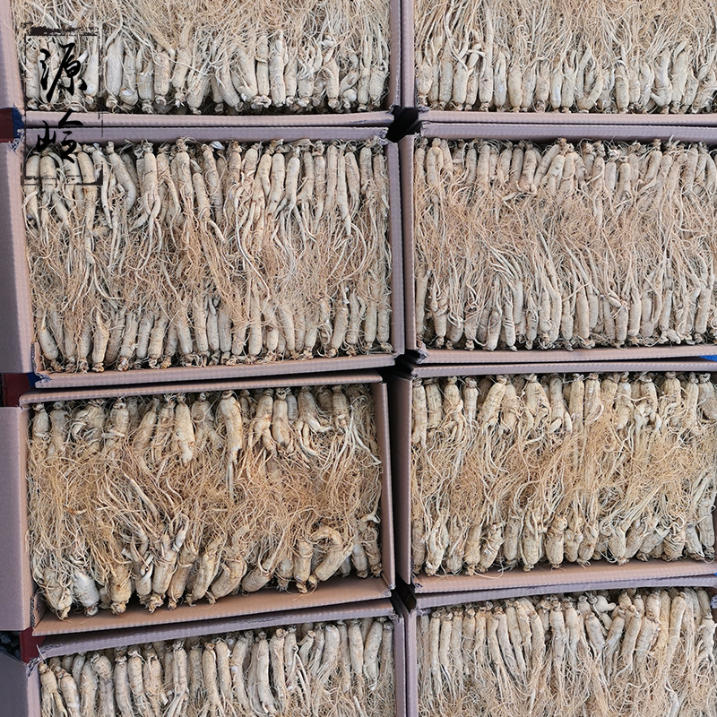 Changbai Mountain Sun-Dried Whole Ginseng Root Ji'an Bian Tiao Ren Shen for Cooking and Decoction - Image 3