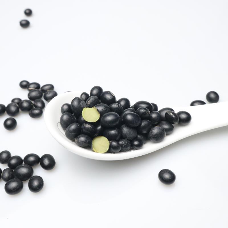 Black Soybeans, Green Kernel (Glycine max) — Northeast China Hei Dou, Food-Herb Legume - Image 3