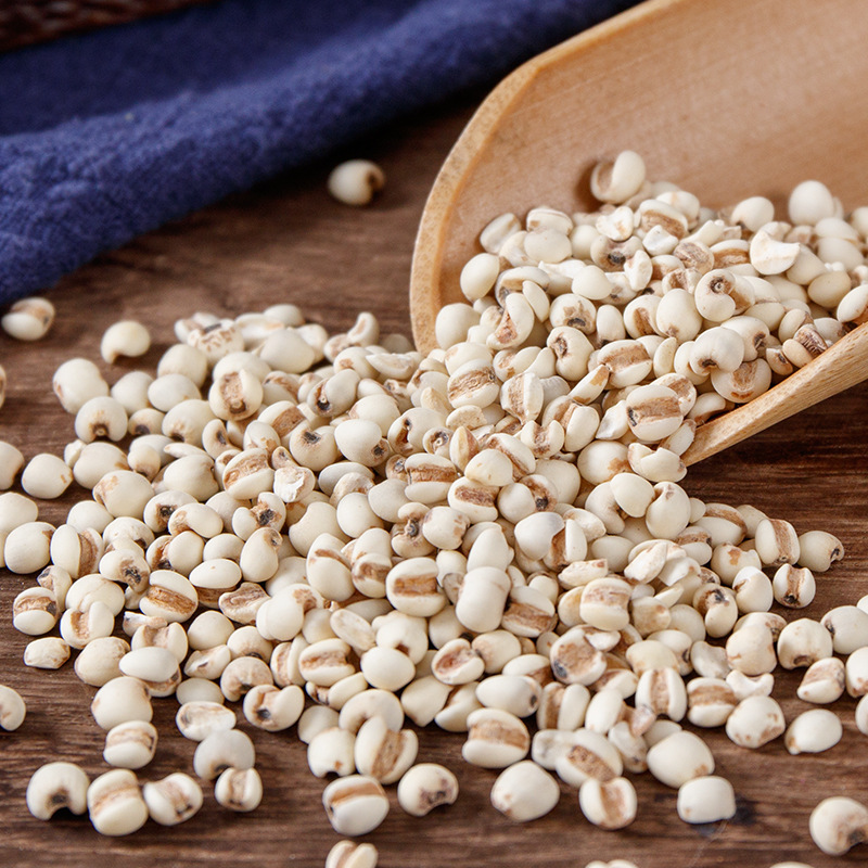 Yi Mi Ren (Coix lacryma-jobi) — Dried Job's Tears Grain, 500g Bottle for Tea & Soup - Image 3