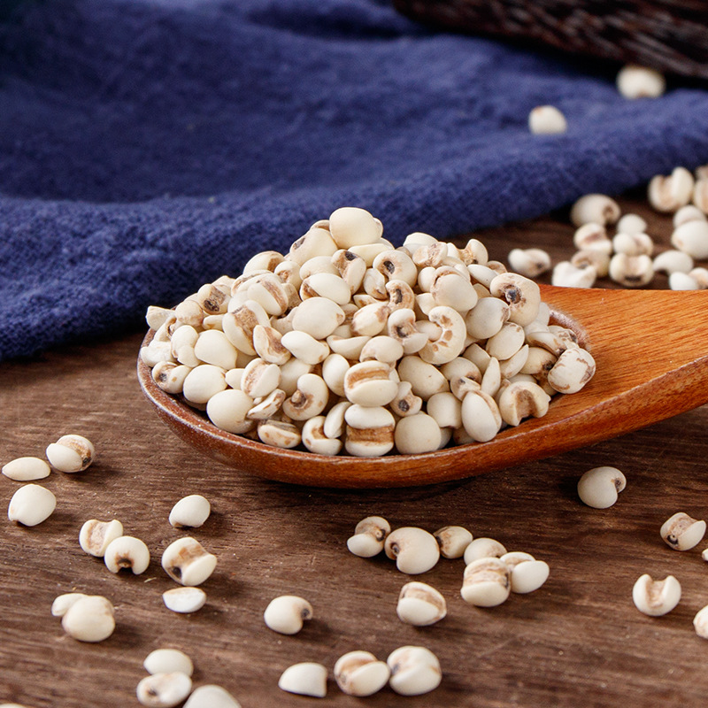 Yi Mi Ren (Coix lacryma-jobi) — Dried Job's Tears Grain, 500g Bottle for Tea & Soup - Image 4