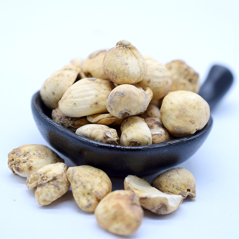 Xinjiang Bulbus Fritillaria Whole Dried Herb Beimu Yibeimu Bulk 500g - Image 2