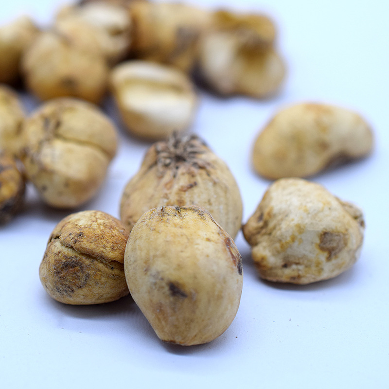 Xinjiang Bulbus Fritillaria Whole Dried Herb Beimu Yibeimu Bulk 500g - Image 5