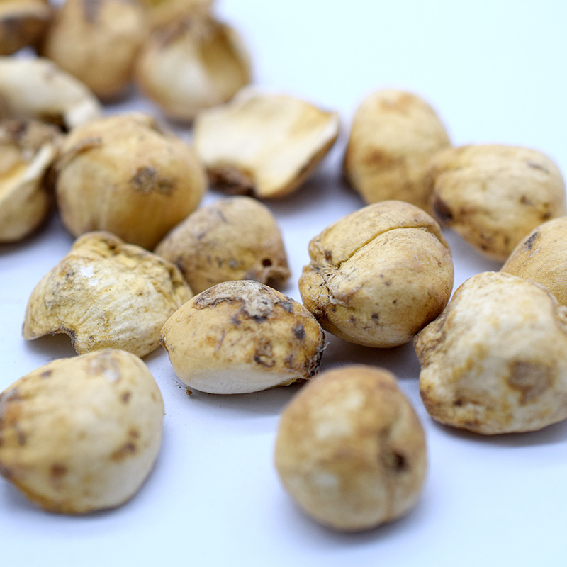Xinjiang Bulbus Fritillaria Whole Dried Herb Beimu Yibeimu Bulk 500g - Image 4
