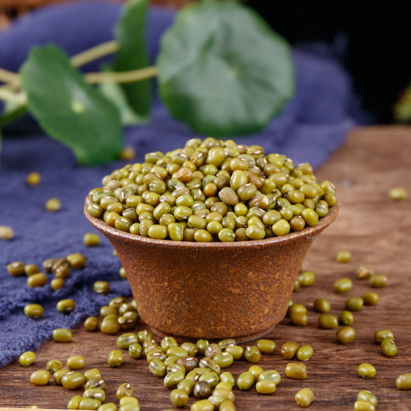 Mung Bean (Vigna radiata) — Dried Food-Herb Legume for Cooling Tea & Congee, 500g - Image 4