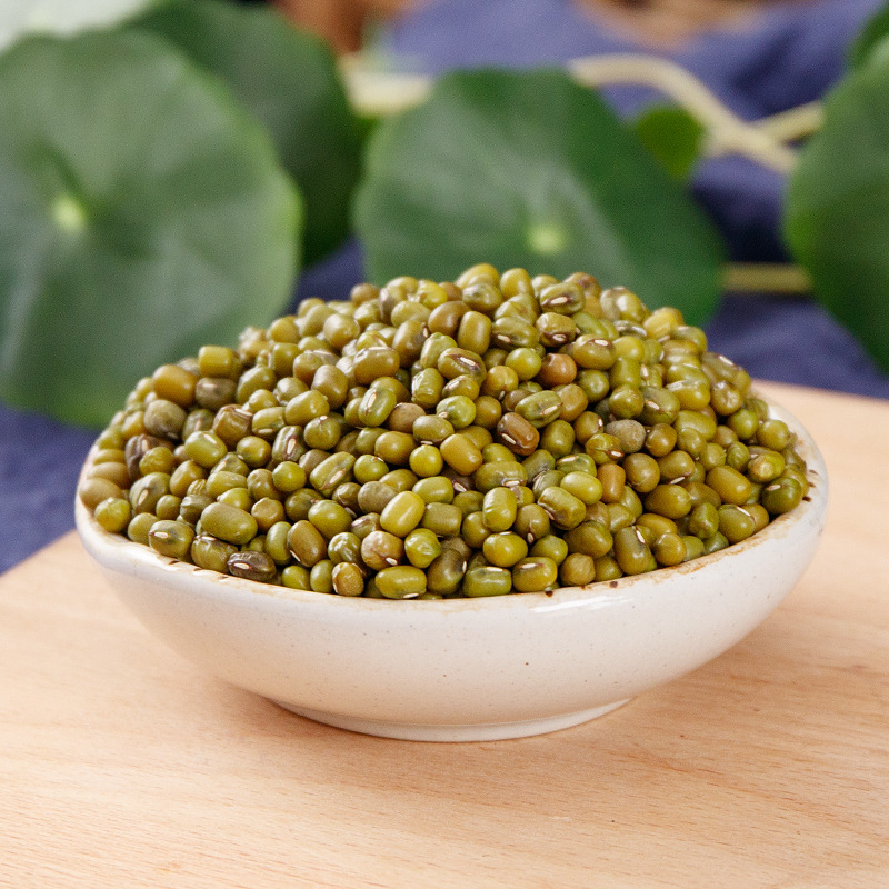 Mung Bean (Vigna radiata) — Dried Food-Herb Legume for Cooling Tea & Congee, 500g - Image 3