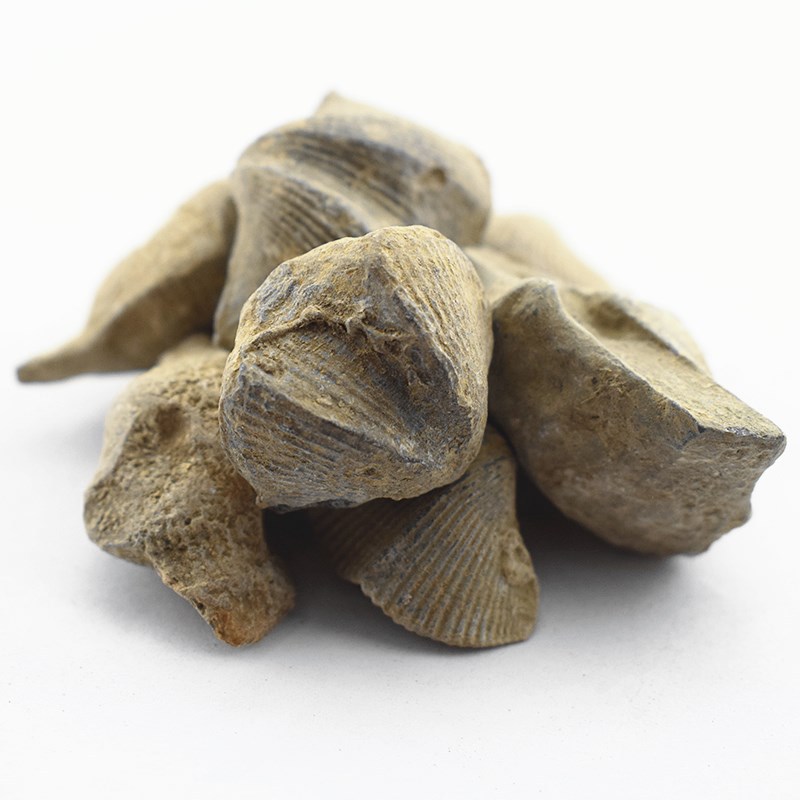 Shi Yan Stone Swallow Mineral Shi Yan Dried Mineral Piece Traditional TCM Use 500g - Image 4