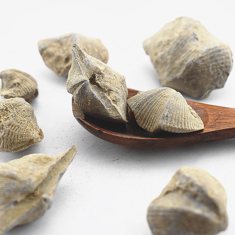 Shi Yan Stone Swallow Mineral Shi Yan Dried Mineral Piece Traditional TCM Use 500g - Image 5