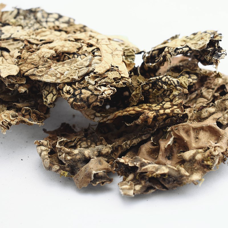 Lao Long Pi Dried Lobaria Herb 500g Traditional Chinese Botanical Loose Raw Herb - Image 5