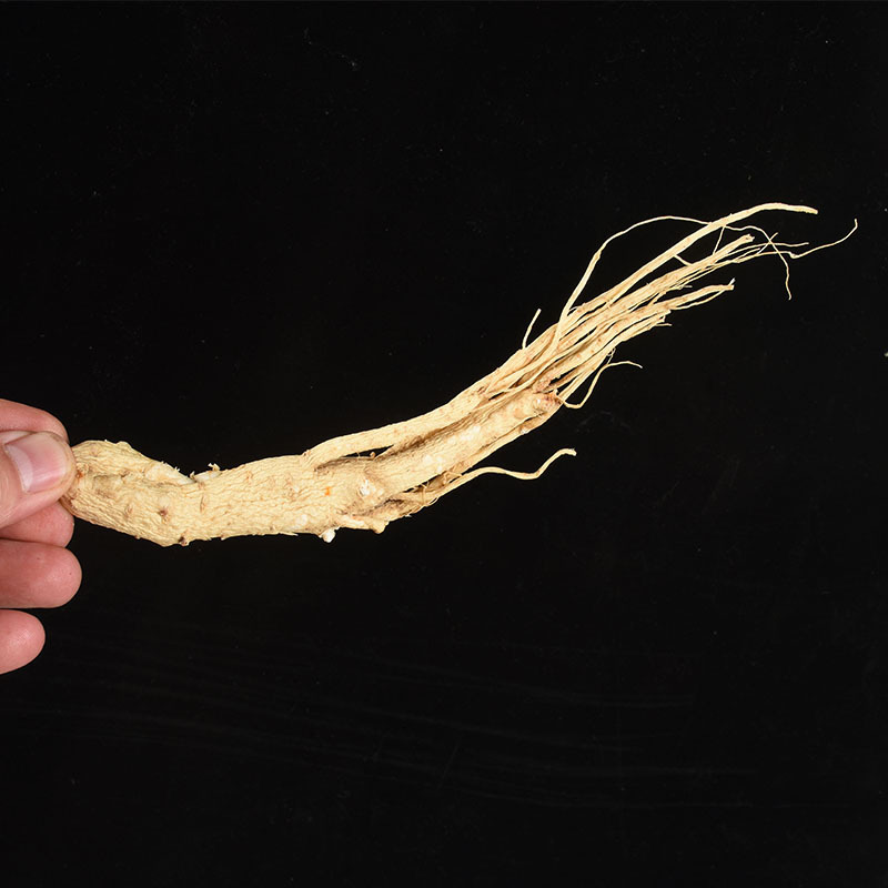 White Ginseng Roots (Panax ginseng) — Dried Whole Root, 500g Food Herb for Cooking - Image 2