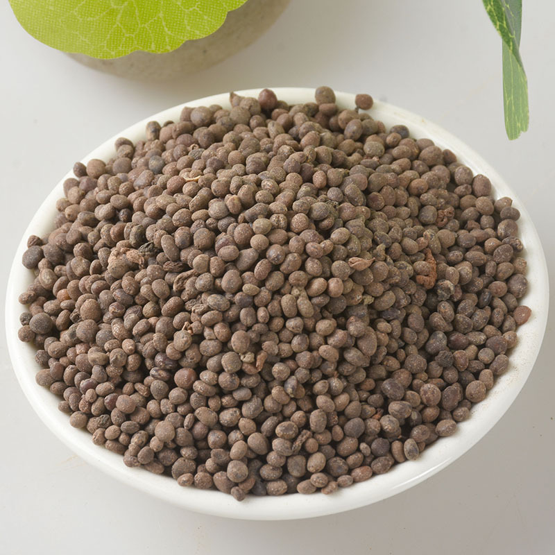 Ji Xing Zi (Impatiens balsamina Seed) — Dried Feng Xian Hua Zi Herbal Seed, 500g - Image 4