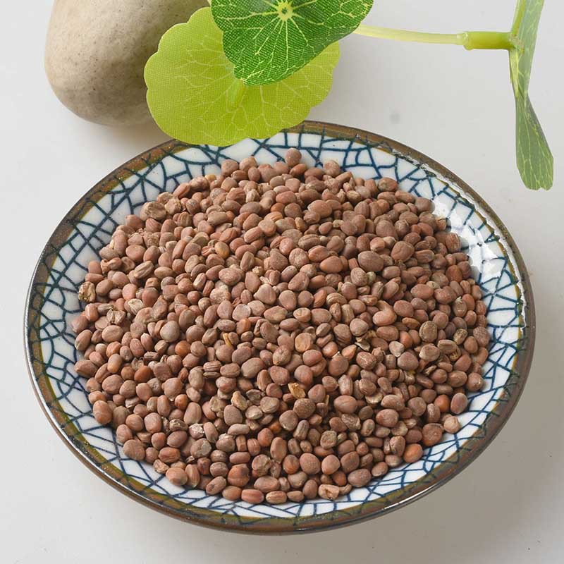 Lai Fu Zi (Semen Raphani) — Dried Radish Seed, Food-Herb for Tea & Soup - Image 3
