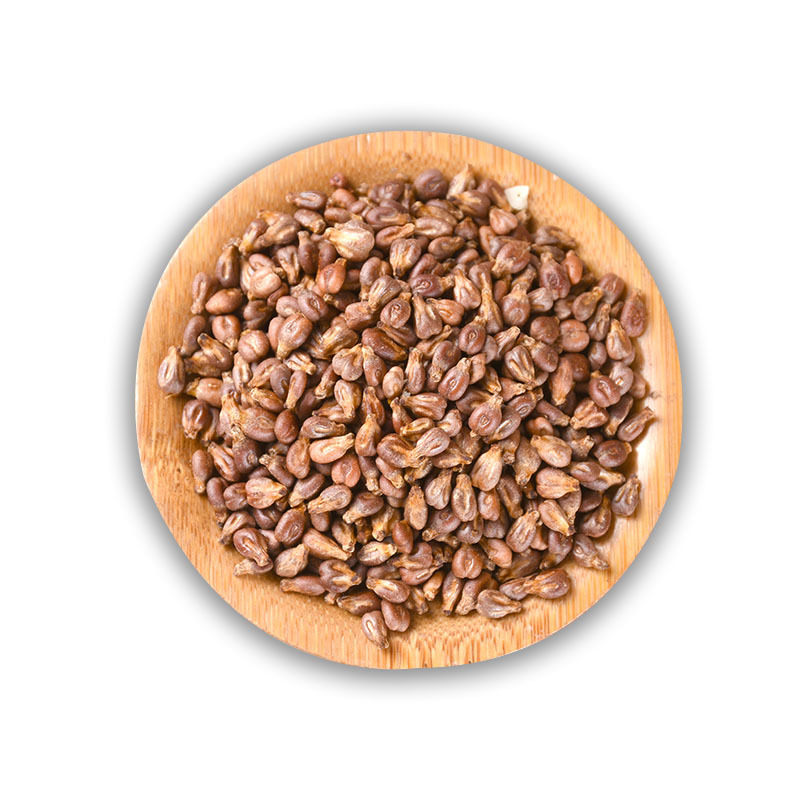 Grape Seed (Vitis vinifera) — Dried Food-Herb Botanical, 500g New-Crop Supply - Image 5
