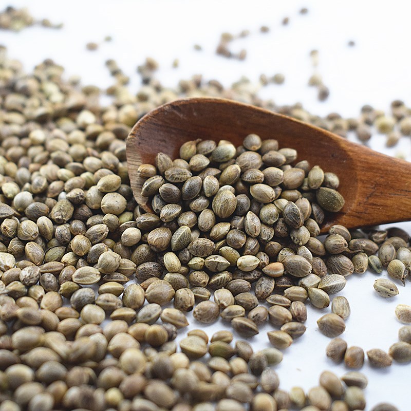Hemp Seed Huo Ma Ren 火麻仁 Dried Cannabis sativa Seed Bulk 500g Traditional Chinese Herb - Image 5