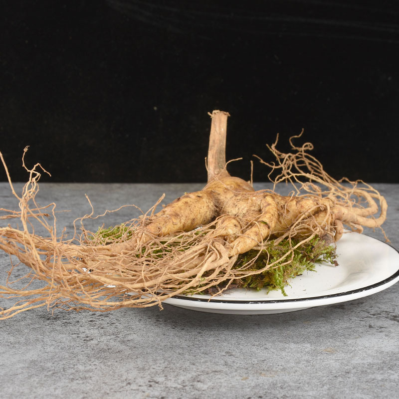 Fresh Ginseng Root (Panax ginseng) — Whole Fresh Ren Shen for Cooking & Decoction - Image 4