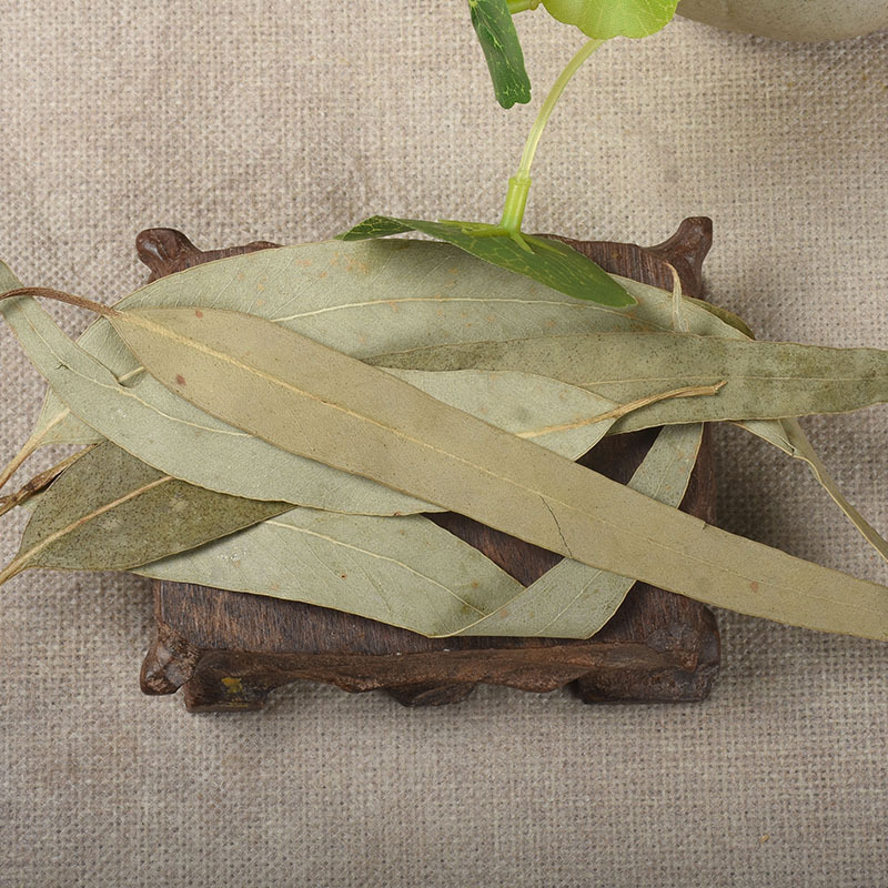 Eucalyptus Leaves (Eucalyptus globulus) — Dried Herbal Leaf for Tea & Steam - Image 4