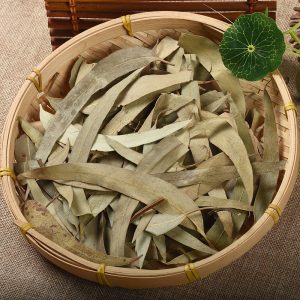 Eucalyptus Leaves (Eucalyptus globulus) — Dried Herbal Leaf for Tea & Steam