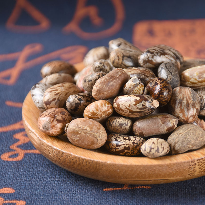 Castor Bean Seeds (Ricinus communis) — Dried Bi Ma Ren Herbal Seed, 500g - Image 3