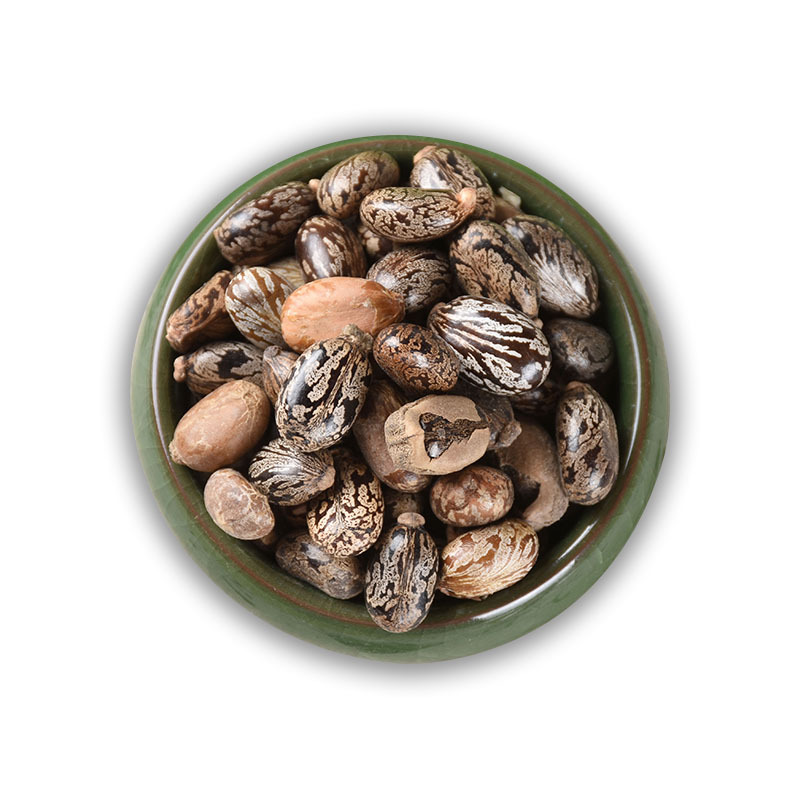 Castor Bean Seeds (Ricinus communis) — Dried Bi Ma Ren Herbal Seed, 500g - Image 5