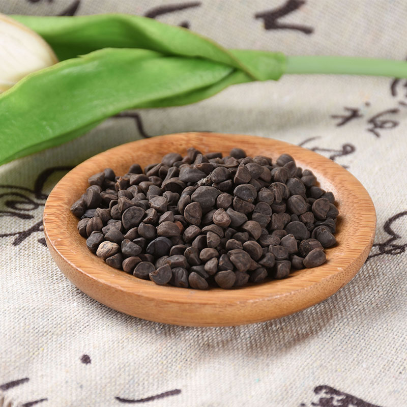 Hei Chou Seeds (Pharbitis nil) — Dried Black Morning Glory Seed Herb, 500g - Image 4