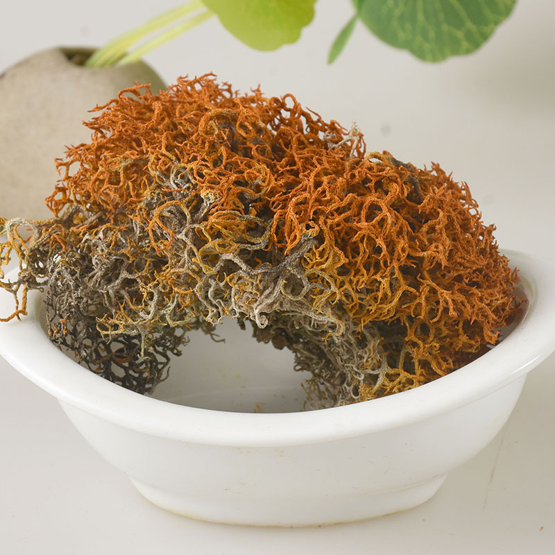 Hong Xue Cha (Red Snow Tea) — Tibetan Loose Herbal Tea, Fine-Thread Select Grade - Image 3