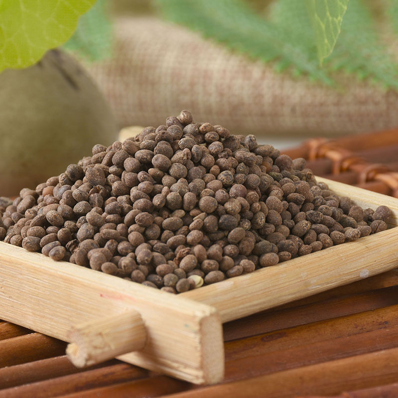 Ji Xing Zi (Impatiens balsamina Seed) — Dried Feng Xian Hua Zi Herbal Seed, 500g - Image 3