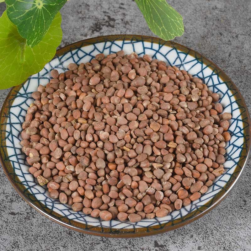 Lai Fu Zi (Semen Raphani) — Dried Radish Seed, Food-Herb for Tea & Soup - Image 4